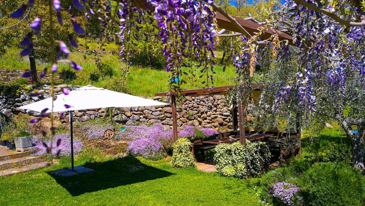 Podere Pontepietra Soriano nel Cimino Ngoại thất bức ảnh