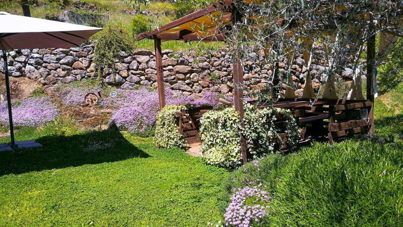 Podere Pontepietra Soriano nel Cimino Ngoại thất bức ảnh